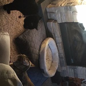 Meet your Posher, Frank